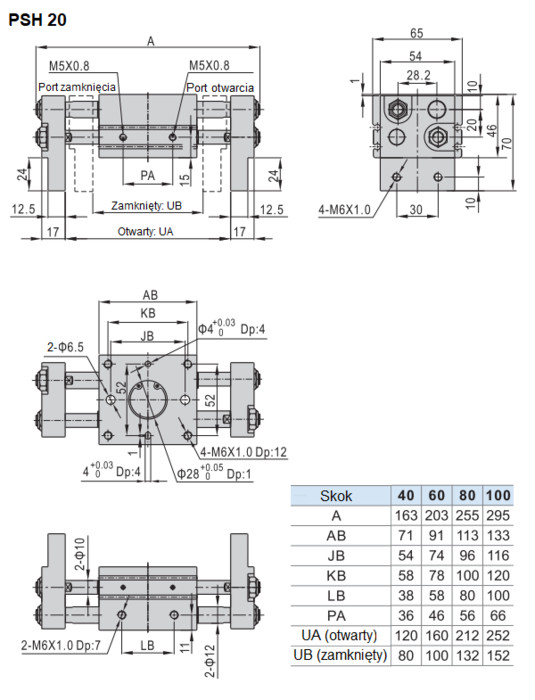 фото Захват с пальцами параллельными D20x100 | Pneumat, PSH020.0100 2