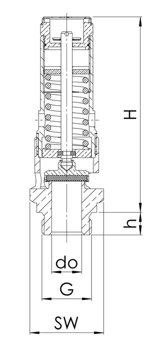 фото Предохранительный клапан DN25 G 1",P открытие = 49 bar, нержавеющая сталь, 410.25-49 2