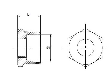 фото Редукція R1 1/2z-R1/2w, SS316, 2080 1 1/2-1/2 ES 2