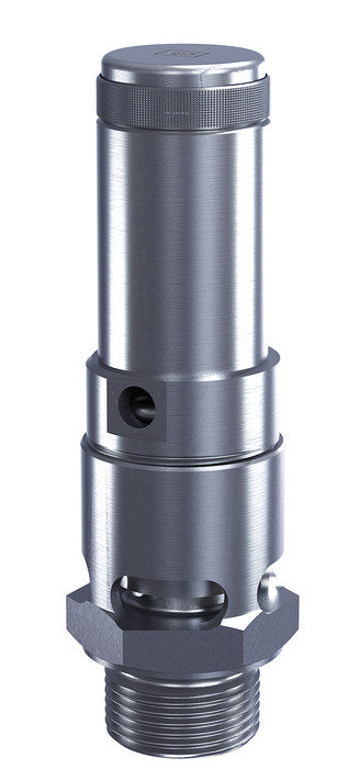 фото Предохранительный клапан DN25 G 1",P открытие = 49 bar, нержавеющая сталь, 410.25-49 1